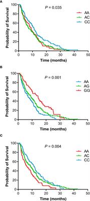 Association of Polymorphisms in Inflammation Genes With the Prognosis of Advanced Non-Small Cell Lung Cancer Patients Receiving Epidermal Growth Factor Receptor Tyrosine Kinase Inhibitors